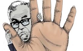 Protección por cinco años