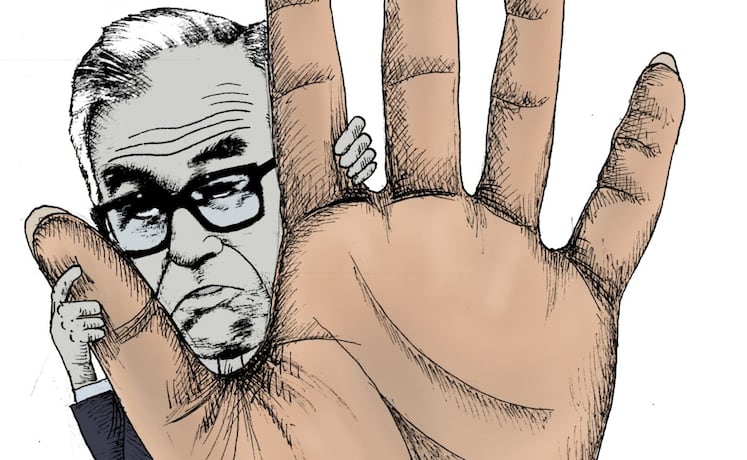 Protección por cinco años