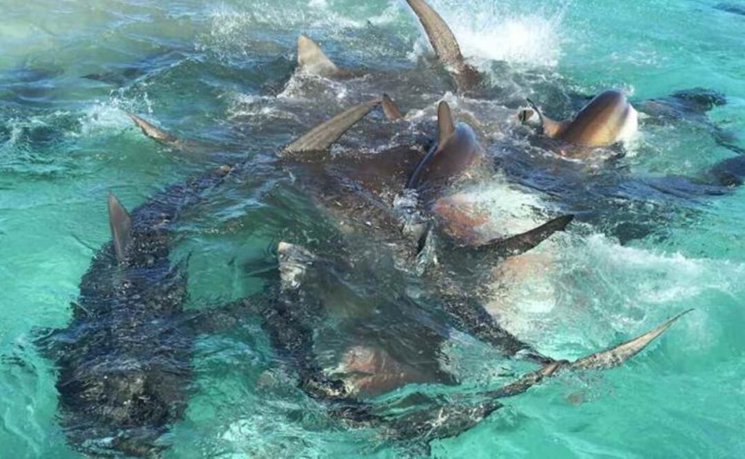 Foto El Nuevo Día/ GDA / Puerto Rico