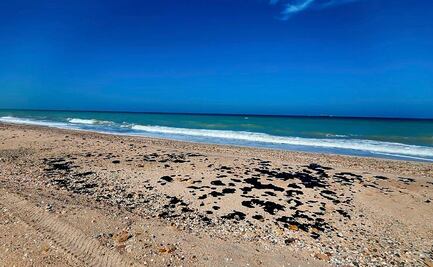 Descarta Pemex emergencia ambiental en las playas de Tamaulipas