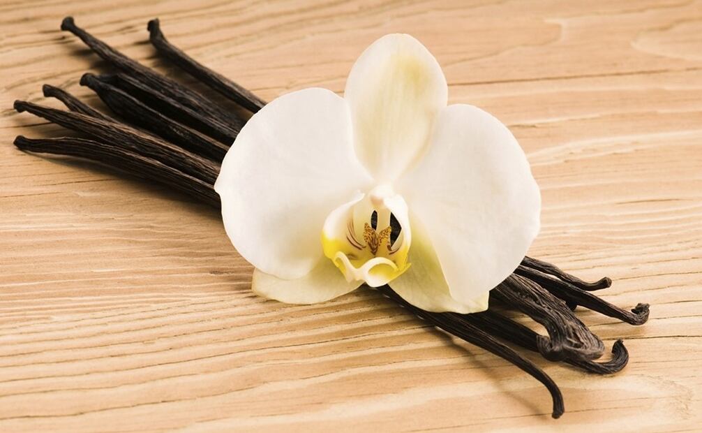 Las notas de la vainilla vuelven renovada esta temporada. Foto: Yanet Aguilar / EL UNIVERSAL