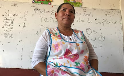 Ante falta de televisión y computadora, maestra acudirá casa por casa a dar clase en Michoacán 