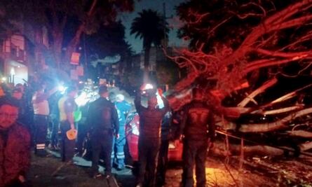 Mujer muere al caer árbol sobre auto tras lluvia en la Narvarte