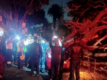 Mujer muere al caer árbol sobre auto tras lluvia en la Narvarte