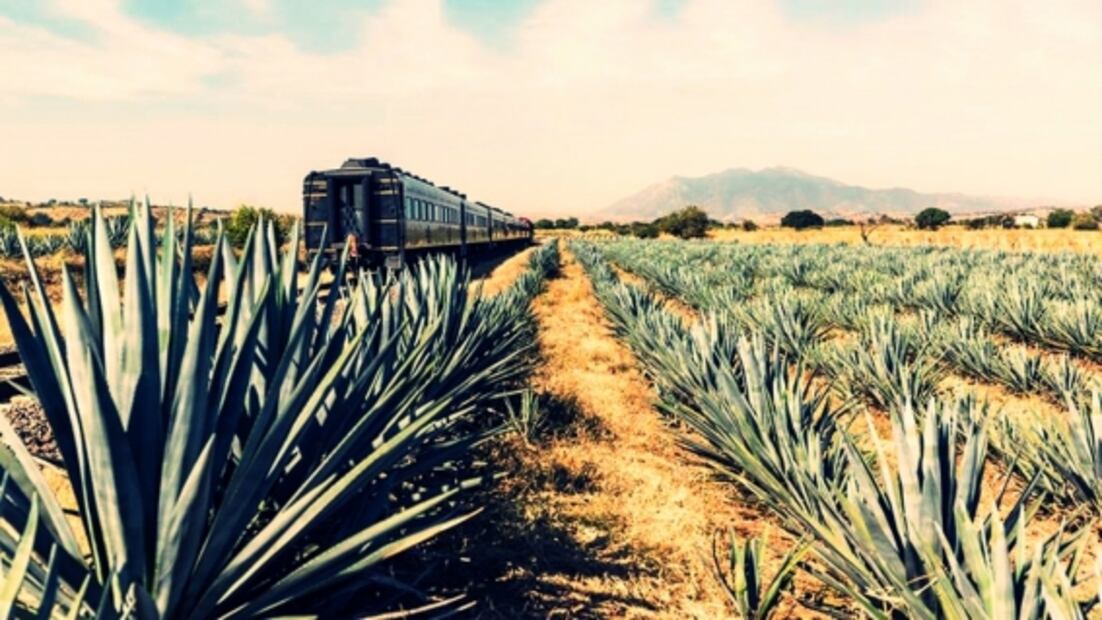 Viajes que puedes hacer en tren por México