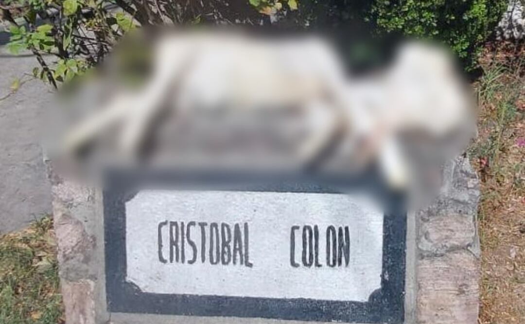 Los propios vecinos quienes retiraron el cuerpo de la cabra del lugar, porque representaba un riesgo sanitario. Foto: Especial