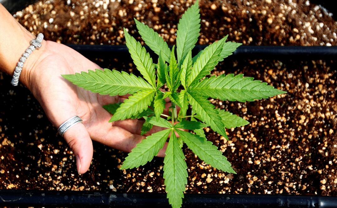 Foto: Archivo / EL UNIVERSAL