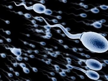 El semen de los hombres es peor ahora que hace 40 años