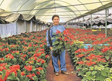 Herbolaria, vía para emprender