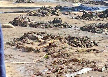 Tultitlán continúa entre lodo y basura