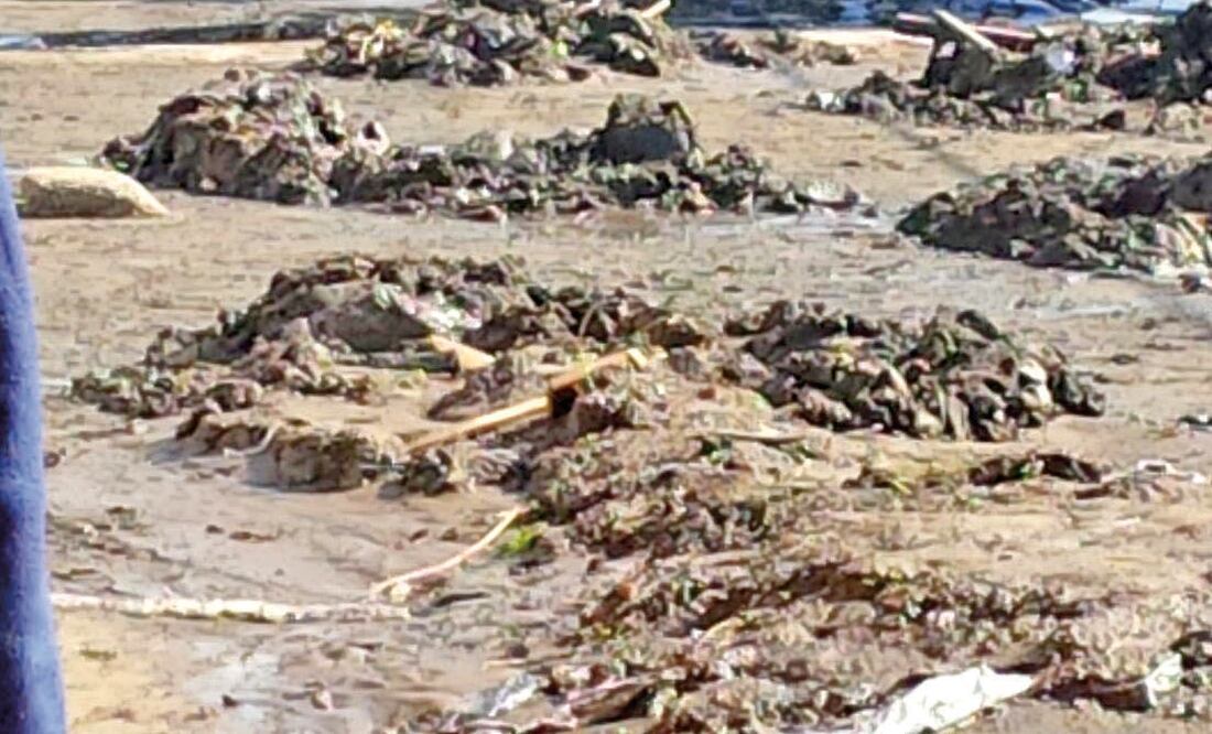 Habitantes de Fuentes del Valle afirman que el gobierno municipal sólo atien de los puntos de mayor inundación y no brinda ayuda en otras calles afectadas (JUAN BARRERA. EL UNIVERSAL)