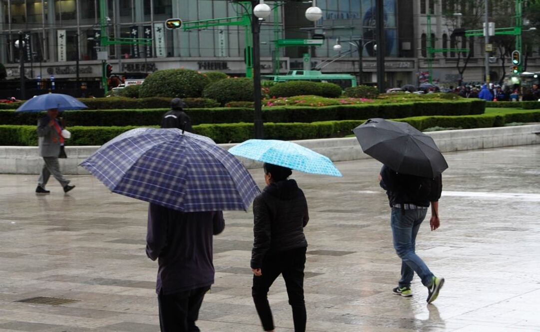 Foto: Archivo/Cuartoscuro