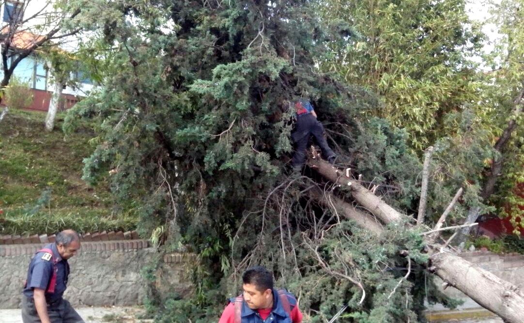 Foto: Archivo / El Universal