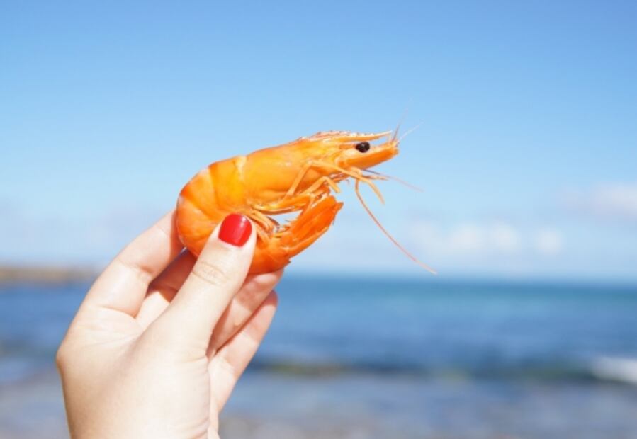 Cómo pelar camarones sin fallar en el intento