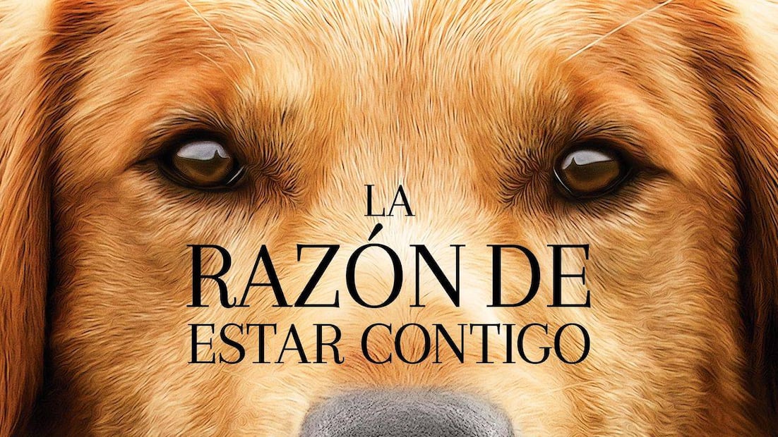 La razón de estar contigo. Fuente: HBO Max