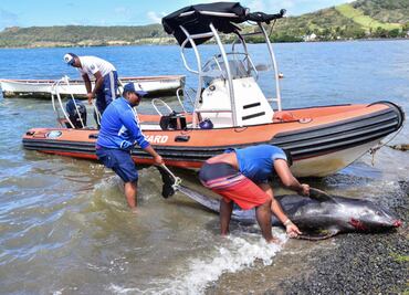 Mauritius marine life threatened after a stranded Japanese oil tanker splits apart