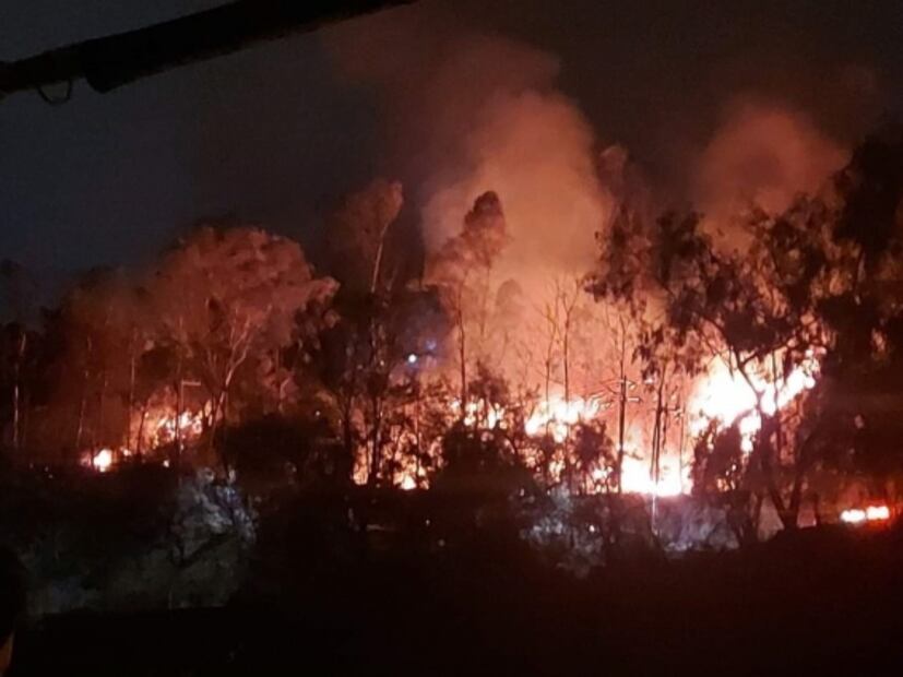 Reportan incendio en predio de reserva ecológica en Álvaro Obregón