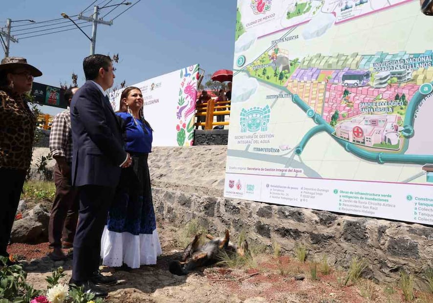 El jardín tendrá una capacidad de infiltración de un millón 300 mil litros de agua de lluvia al día. Foto: Especial