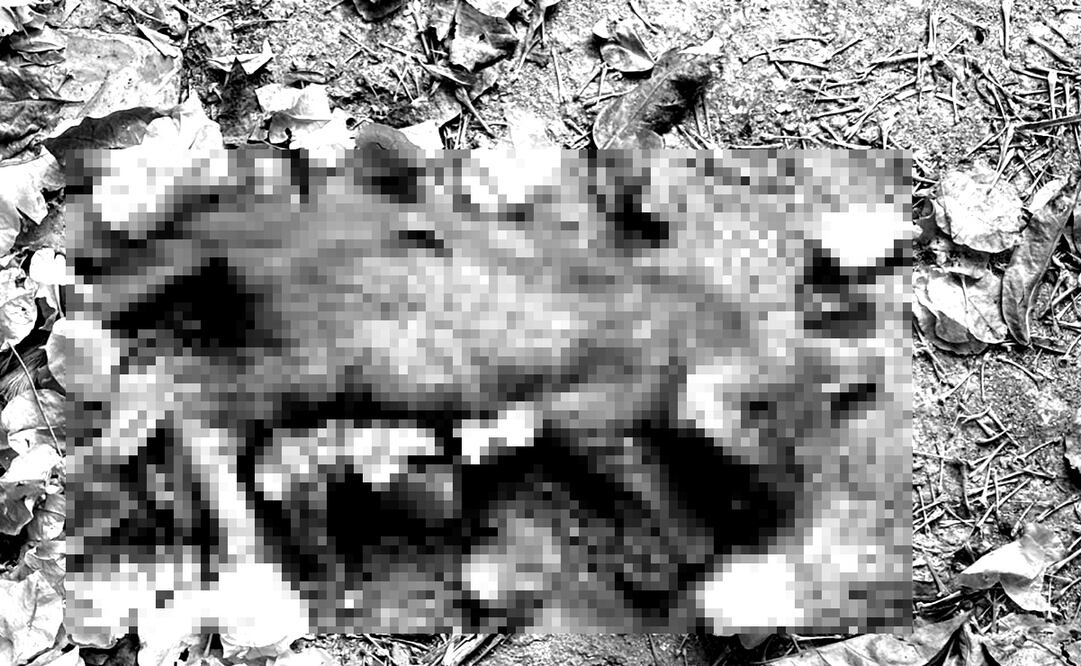 Maltrato animal. Foto: Especial