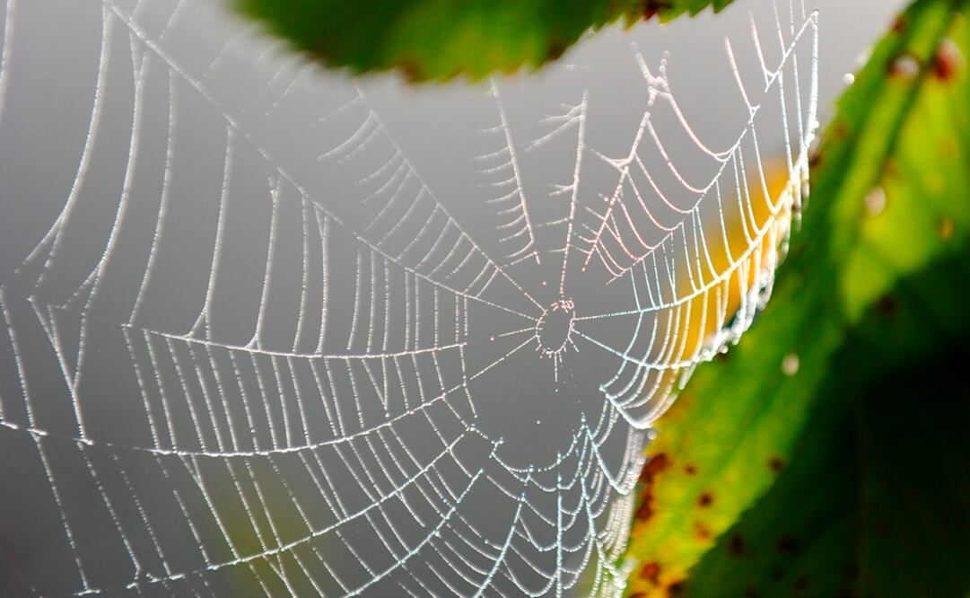 Foto: EFE/Angelika Warmuth, archivo