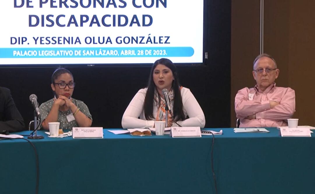 Foro "Inclusión Laboral de Personas con discapacidad". Foto: Captura Youtube Cámara de Diputados