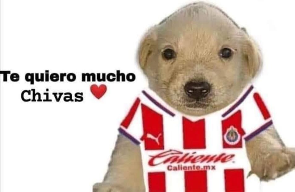 Los mejores MEMES del triunfo de Chivas ante Pachuca