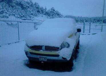 Afectan nevadas a 20 municipios de Chihuahua
