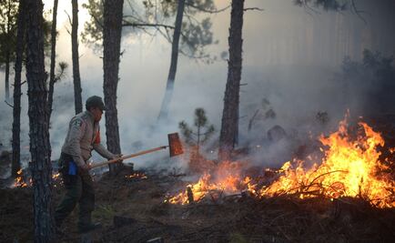 Puebla, el séptimo lugar con mayor número de incendios forestales en México; suman 417 siniestros