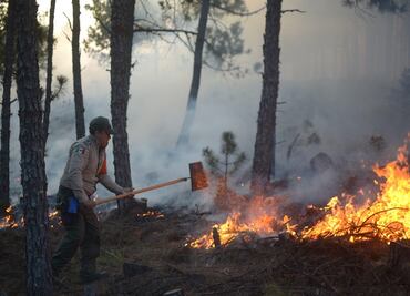 Puebla, el séptimo lugar con mayor número de incendios forestales en México; suman 417 siniestros