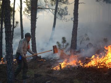 Puebla, el séptimo lugar con mayor número de incendios forestales en México; suman 417 siniestros