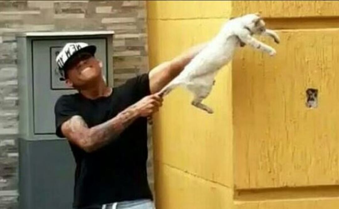 Instagram (@asodepa) Los dos futbolistas difundieron en redes sociales las imágenes en donde se ve como maltratan a un gato