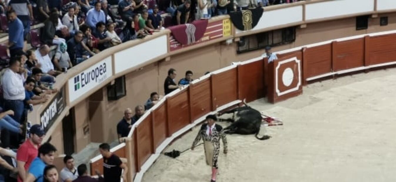 Alcaldesa podría ser destituida por no impedir corrida de toros en Cancún