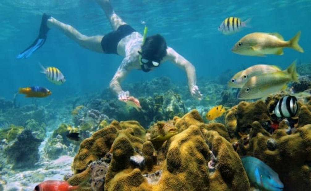 Viaje carretero por el Caribe mexicano