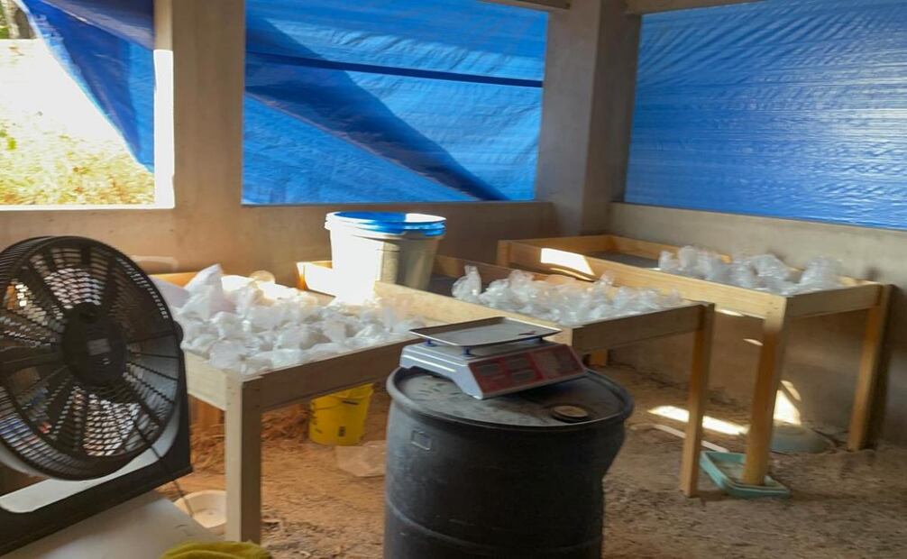 Bolsas con dosis de drogas halladas en inmueble de Morelos (17/11/2025). Foto: Especial