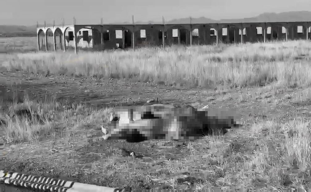Fiscalía de Chihuahua confirma hallazgo de 8 personas sin vida. Foto: Especial