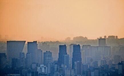 UANL students create hi-tech pollution absorbent