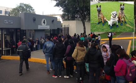 Familias hacen fila para ver a Frida en la Semar