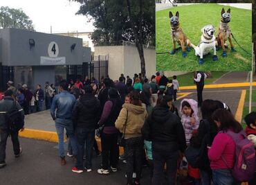 Familias hacen fila para ver a Frida en la Semar
