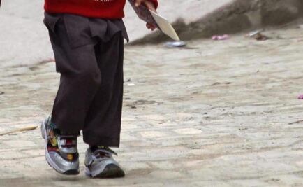 Muere niño de 11 años tras mordida de zorro en Durango