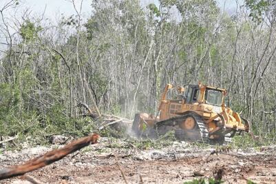 Tren Maya no detona aún el desarrollo inmobiliario
