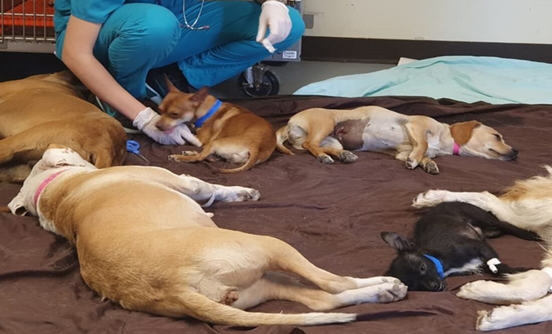 Imagen ilustrativa. Foto: Especial