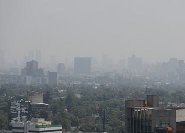 Día de la Tierra: ¿Qué productos de uso cotidiano contaminan el medio ambiente?