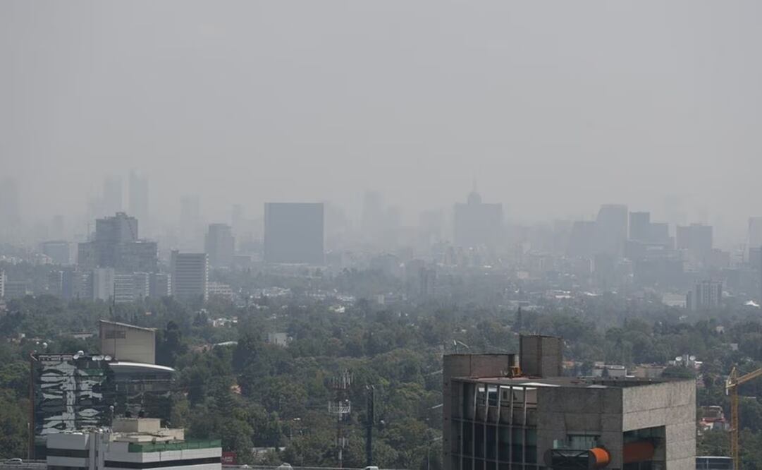 Algunos productos tienen sustancias químicas tóxicas, mientras que otros, a pesar de ser naturales, tienen un fuerte impacto ambiental. Foto: ARCHIVO