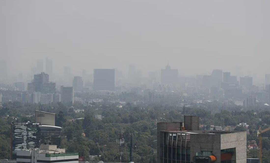 Algunos productos tienen sustancias químicas tóxicas, mientras que otros, a pesar de ser naturales, tienen un fuerte impacto ambiental. Foto: ARCHIVO