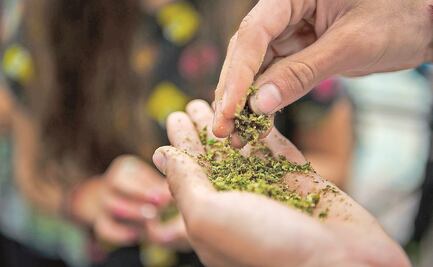 Sorprenden a estudiante con 79 envoltorios de marihuana en Sonora