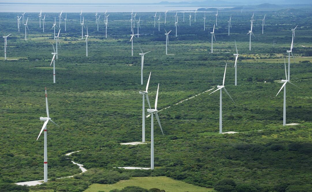 Foto: Archivo / EL UNIVERSAL