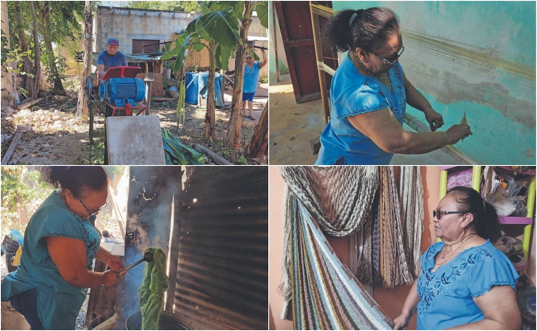 En su casa, en Tixkokob, Mérida, doña Juana de Arco Balderas Puch muestra el procedimiento que aprendió de su madre para tejer hamacas usando la planta llamada
lengua de vaca, también conocida como sansevieria, la cual las hace peculiares, pues en la actualidad la mayoría las hacen de algodón o nylon. Fotos: De Cristopher Cabello/El Universal