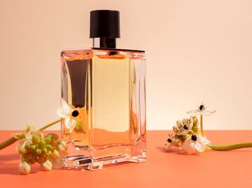 5 aromas de perfumes para llevar en otoño 2025