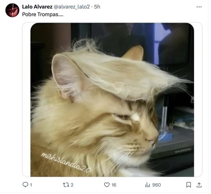 Los mejores memes que dejó la pausa de aranceles de Trump a México. Foto: Captura de pantalla