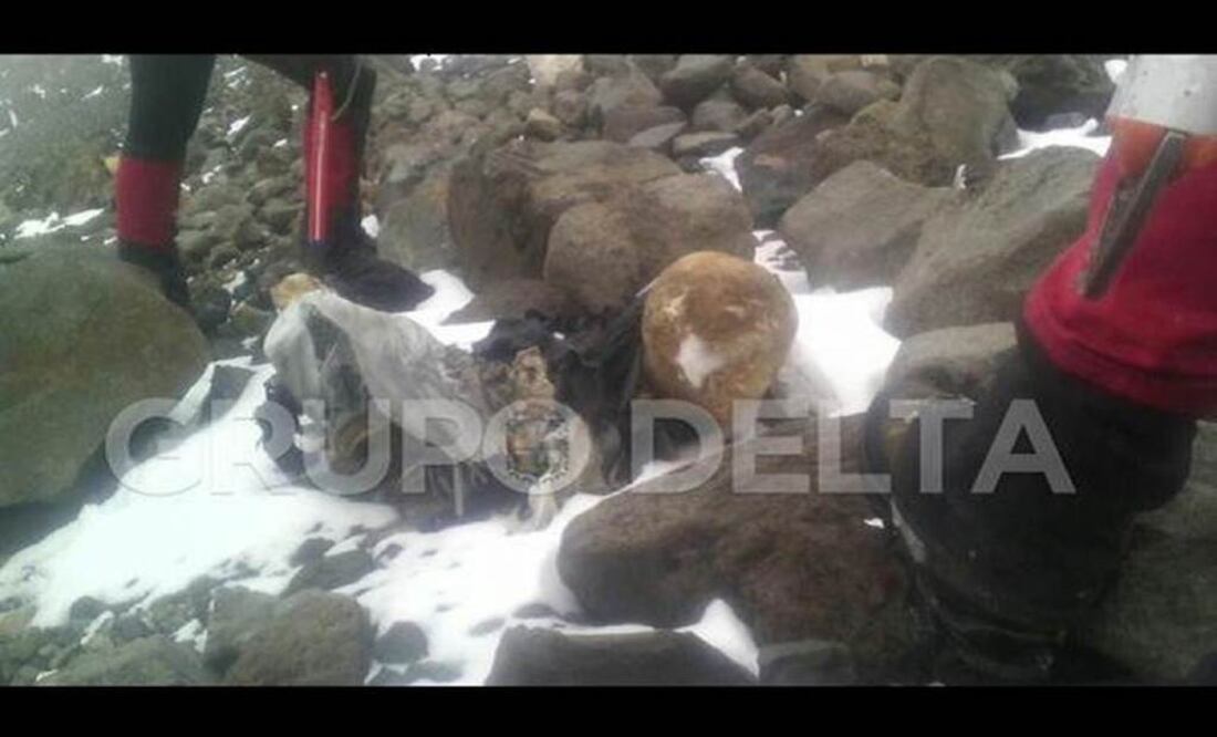 The body allegedly belongs to a pilot who crashed his aircraft in the area about 15 years ago. (Photo: Special/Twitter )